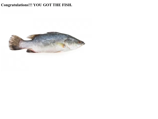 fishtime/fish screenshot