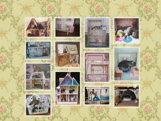 catsdollhouses screenshot