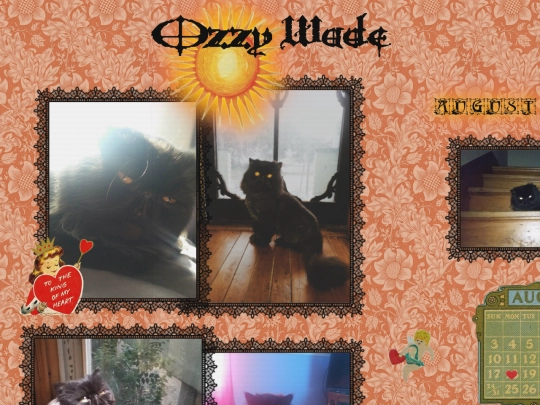 ozzywade screenshot