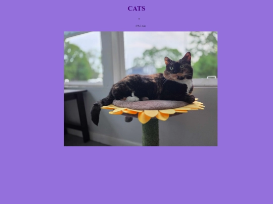 Cats screenshot