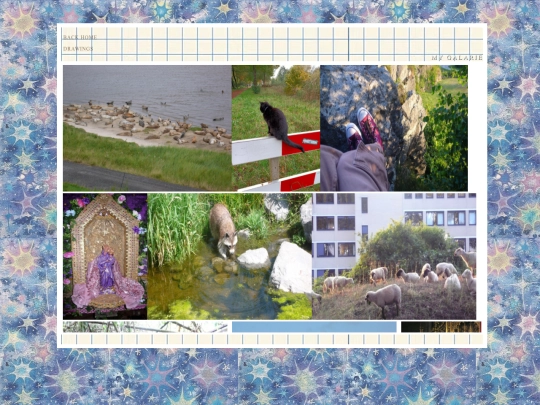 photos screenshot