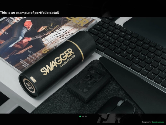 portfolio-details screenshot