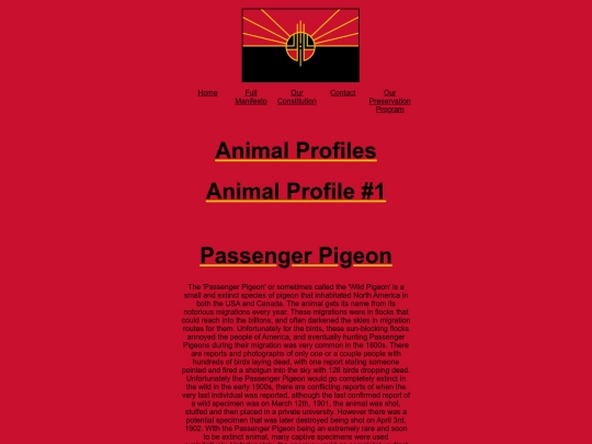 profiles screenshot