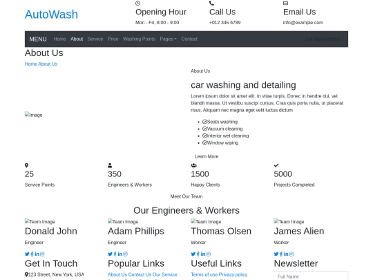 car-wash-website-template/about screenshot