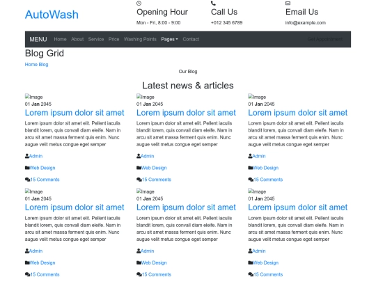 car-wash-website-template/blog screenshot