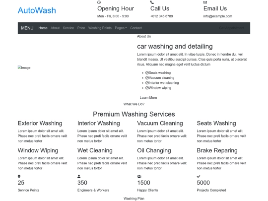 car-wash-website-template screenshot