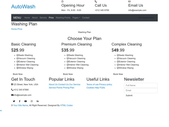 car-wash-website-template/price screenshot