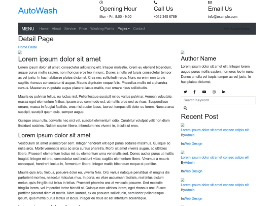 car-wash-website-template/single screenshot