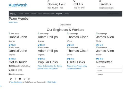 car-wash-website-template/team screenshot
