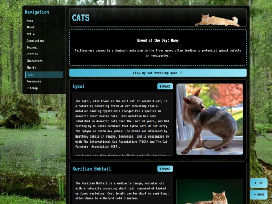 cats screenshot