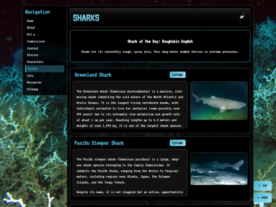 sharks screenshot