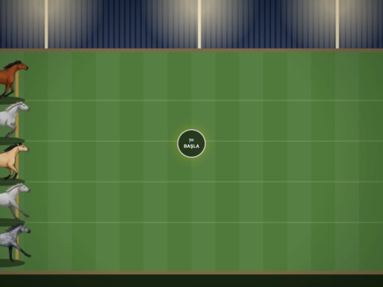 horster/645 screenshot