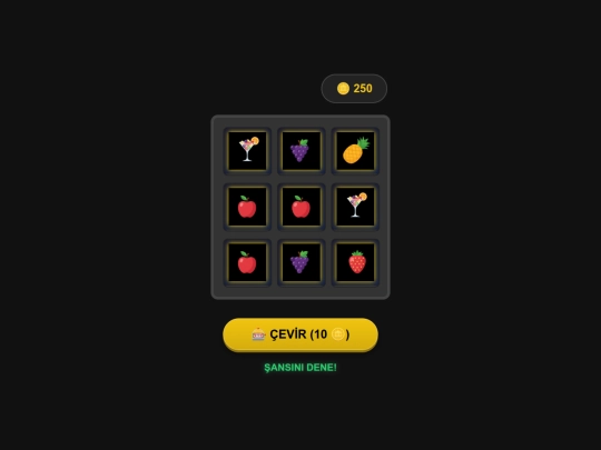 meyve/gemini-KASA screenshot