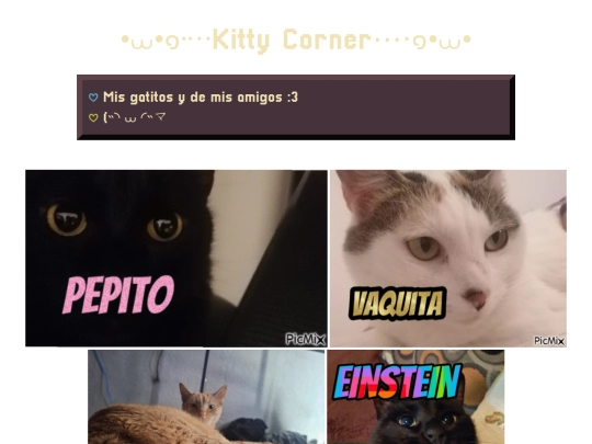 pages/pets/kitty_corner screenshot