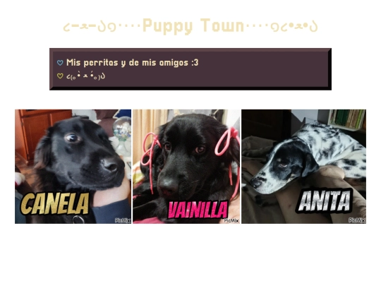 pages/pets/puppy_town screenshot