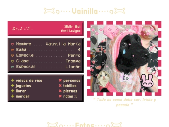 pages/pets/vainilla screenshot