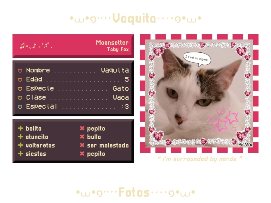 pages/pets/vaquita screenshot