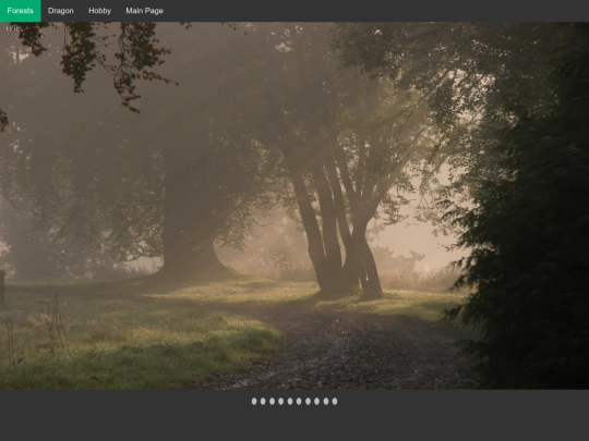 assignments/FinalProject.html/Forests screenshot
