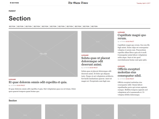 newspapers/category screenshot