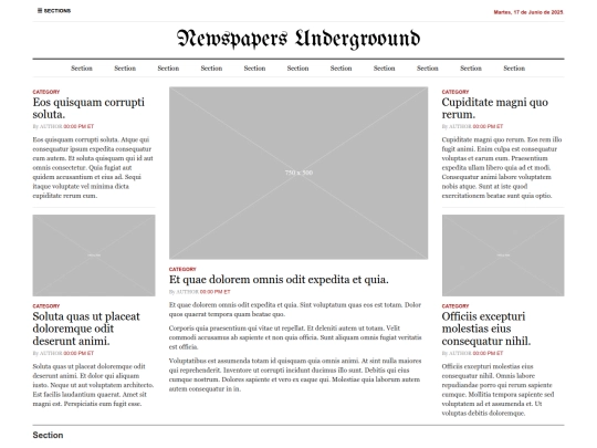 newspapers screenshot