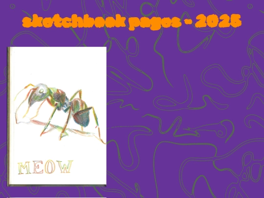 2025 screenshot