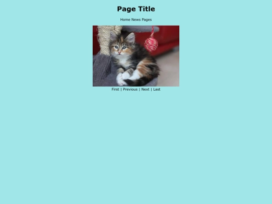 experiment screenshot