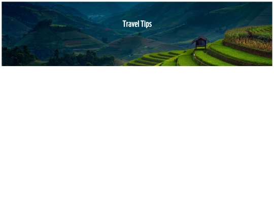 Road Dawg/TravelTip screenshot