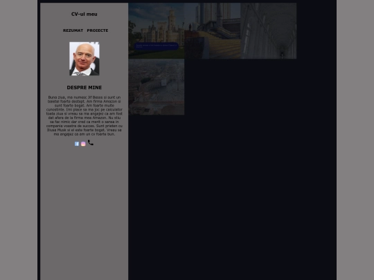 projects screenshot