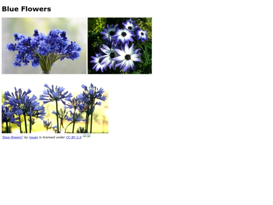 gallery screenshot