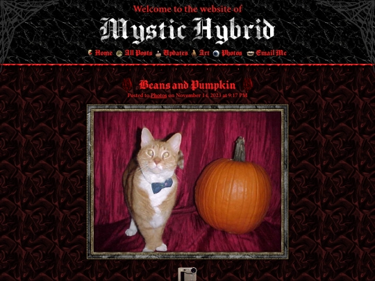 photos/beans-and-pumpkin screenshot