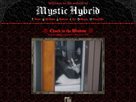 photos/chuck-in-the-window screenshot