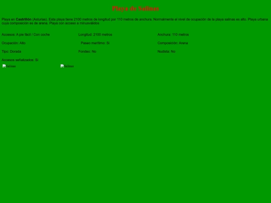 Playadesalinas screenshot