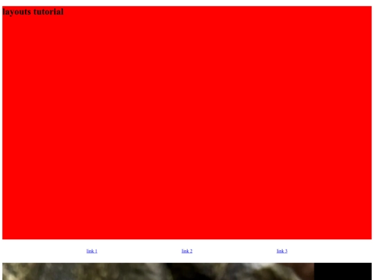 layout screenshot