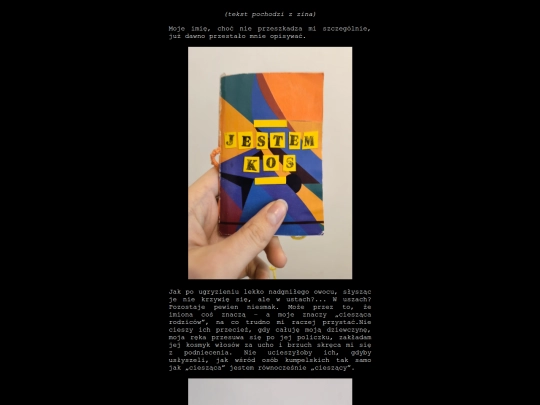 koskoskos screenshot