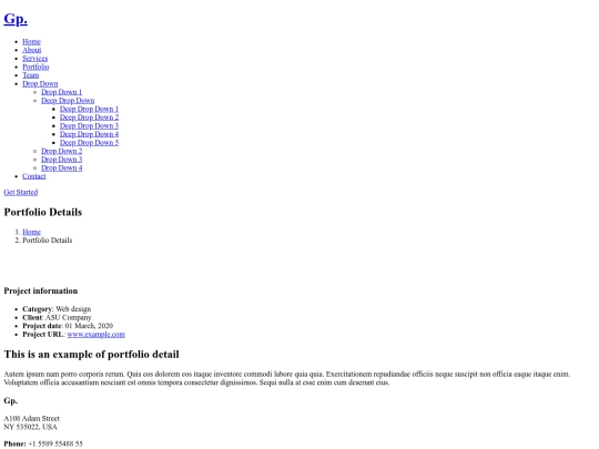 portfolio-details screenshot