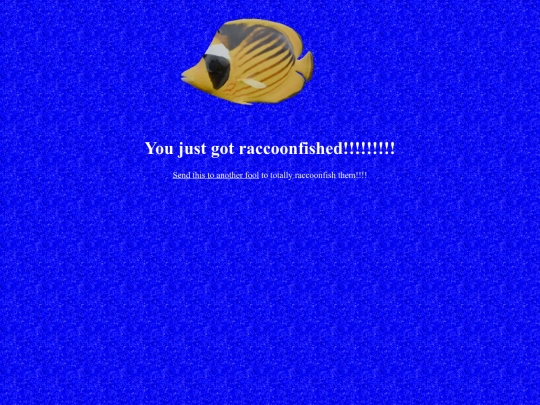 about/aquarium/raccoonfish screenshot