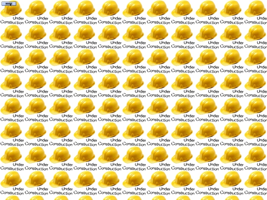 portfolio screenshot