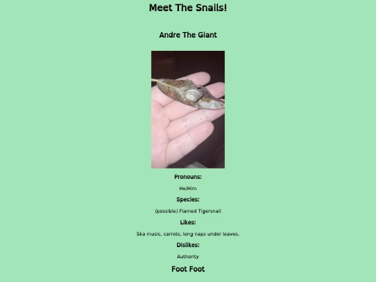 meetthesnails screenshot