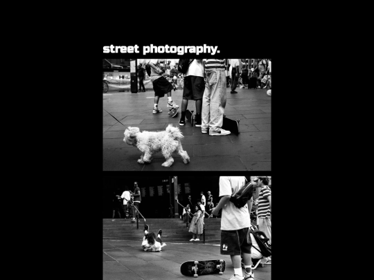 projects/photos/photoStreet screenshot