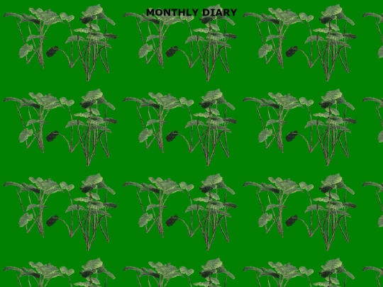 monthlydiary screenshot