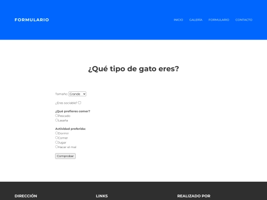 formulario screenshot