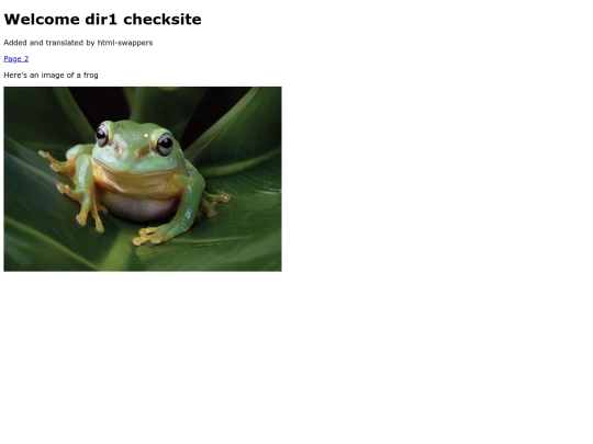 html-swapper/dir1/checksite screenshot