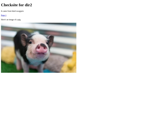 html-swapper/dir2/checksite screenshot