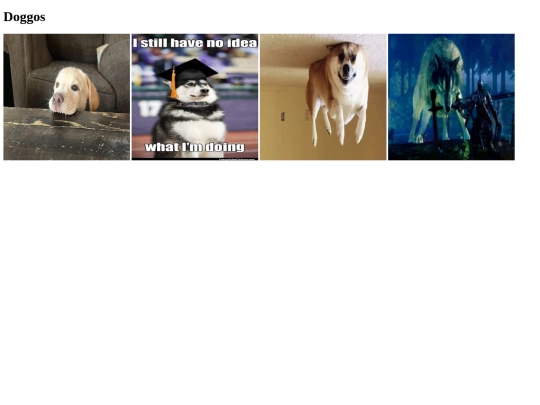 images/Fimage-stag9 screenshot