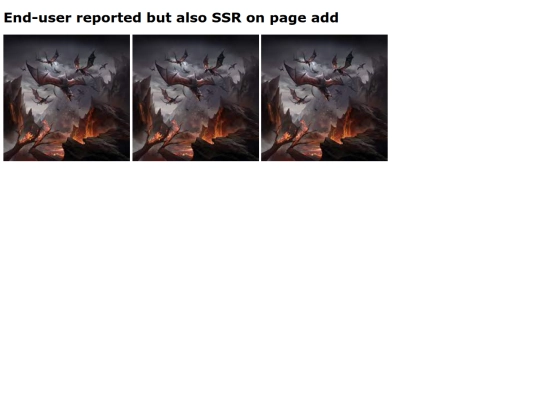 images/img-project/End-user-report screenshot
