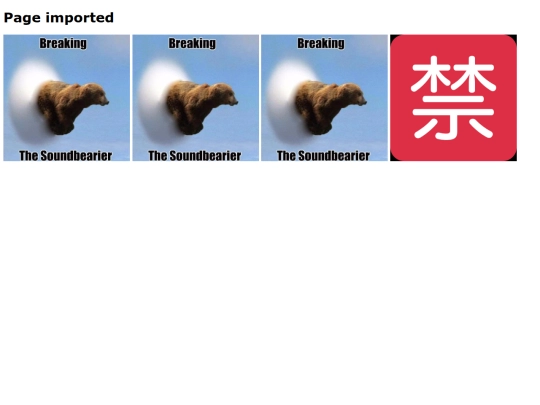 images/img-project/SSR screenshot
