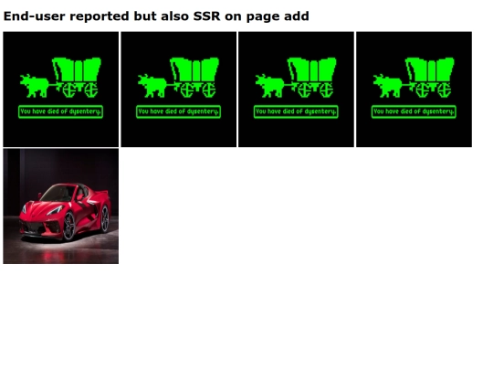images/img-project/Server-side-report screenshot