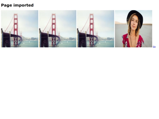 images/img-project/import2 screenshot