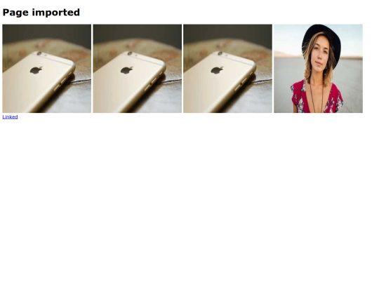images/img-project/import3 screenshot