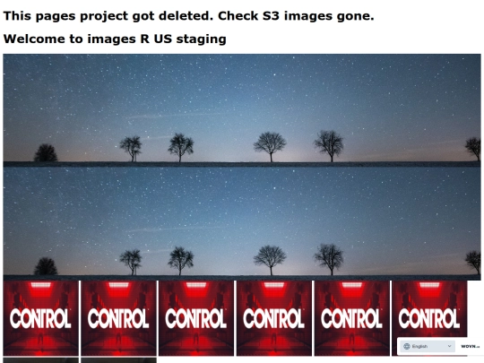 images/new-case.html/project-delete screenshot